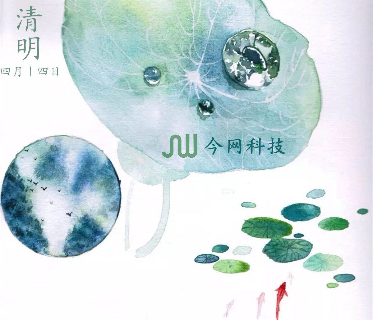 官網(wǎng)專用.jpg